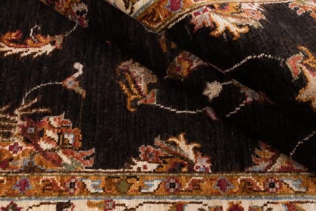 Ziegler Farahan - 7