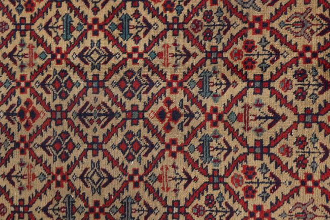 Shirwan - 6