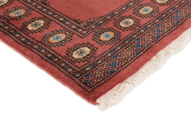 Pakistan Buchara 2ply - 3