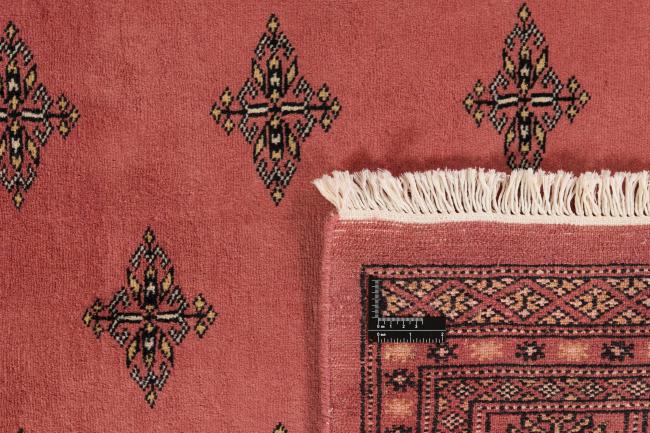 Pakistański Buchara 2ply - 1