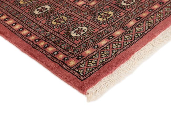Pakistański Buchara 2ply - 3