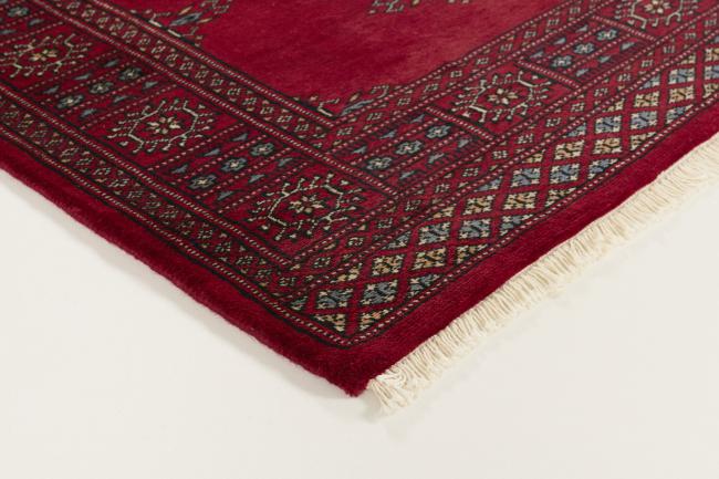 Pakistański Buchara 3ply - 3