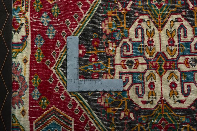 Shiraz - 4