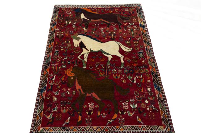 Shiraz - 3