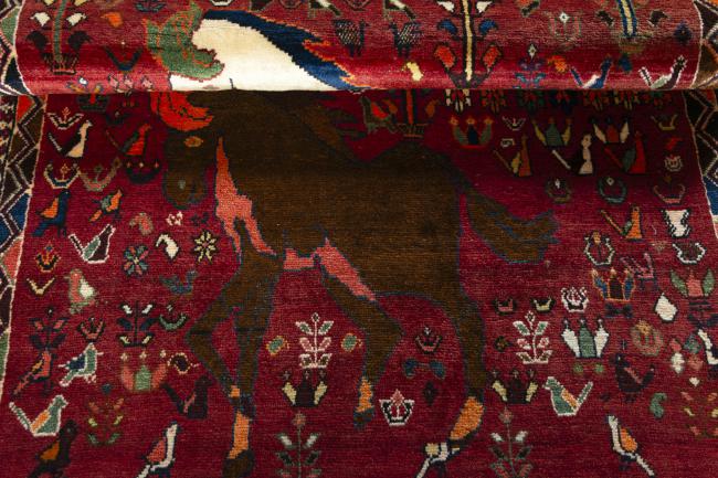 Shiraz - 7
