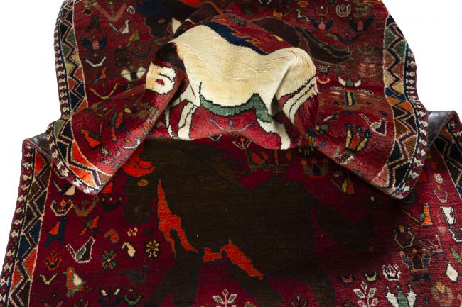Shiraz - 8