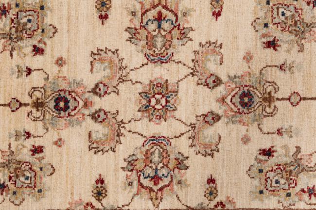 Ziegler Farahan - 6