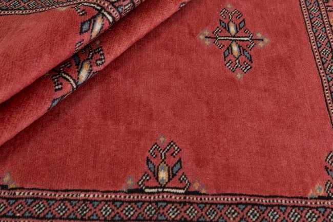 Pakistan Buchara 2ply - 2