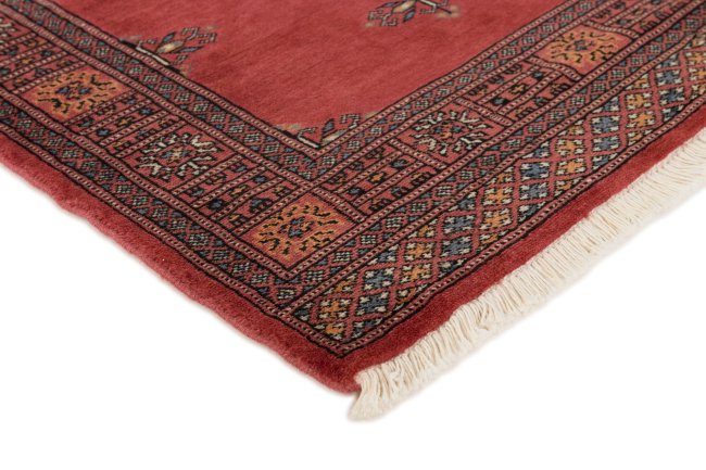 Pakistan Buchara 2ply - 3