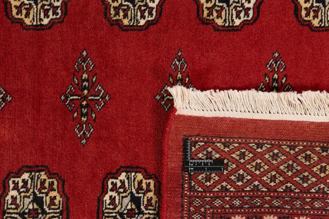 Pakistan Buchara 2ply - 1