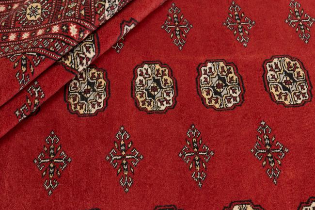 Pakistan Buchara 2ply - 2
