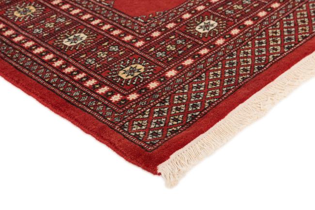 Pakistan Buchara 2ply - 3