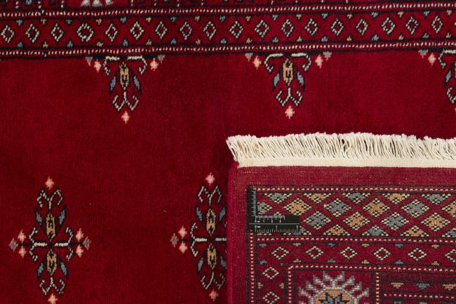 Pakistan Buchara 3ply - 1