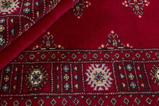 Pakistan Buchara 3ply - 2