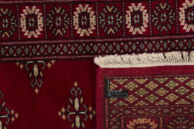 Pakistan Buchara 2ply - 1