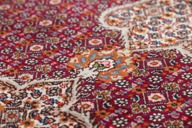 Tabriz Mahi - 7