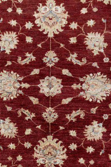 Ziegler Farahan - 2