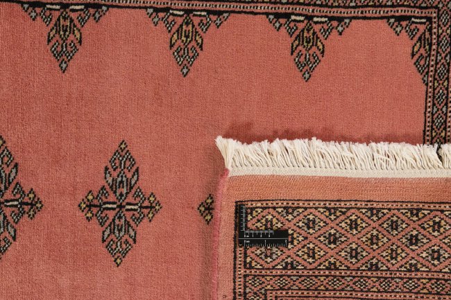 Pakistan Buchara 2ply - 1