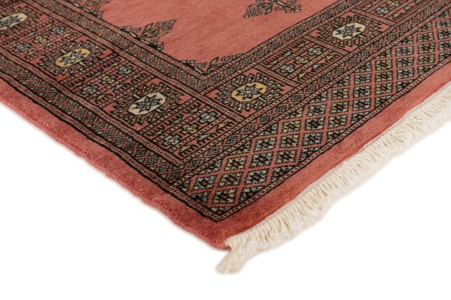 Pakistan Buchara 2ply - 3