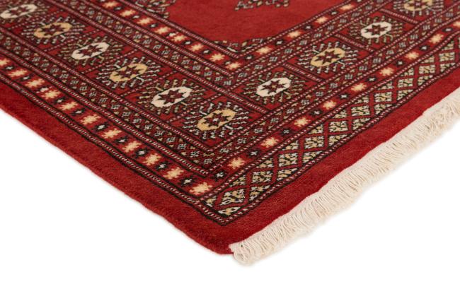 Pakistan Buchara 2ply - 3