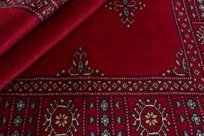Pakistan Buchara 3ply - 2