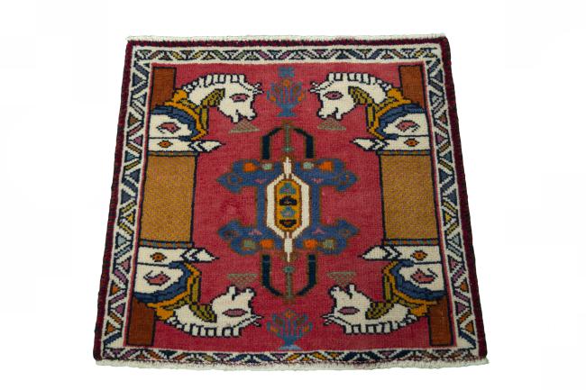Shiraz - 3