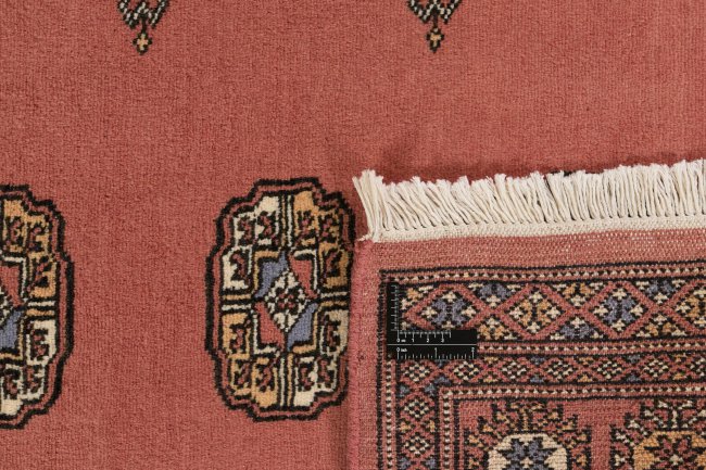 Pakistan Buchara 2ply - 1