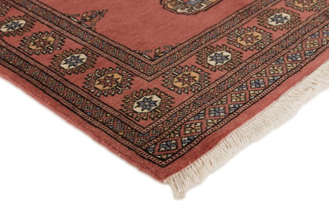 Pakistan Buchara 2ply - 3