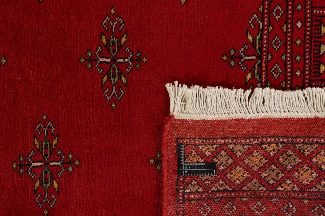 Pakistan Buchara 2ply - 1