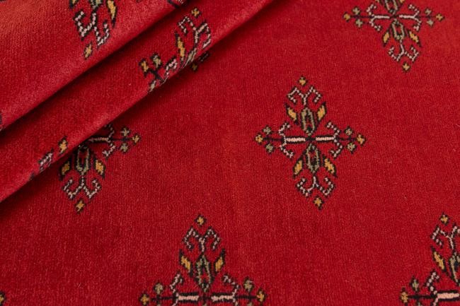 Pakistan Buchara 2ply - 2