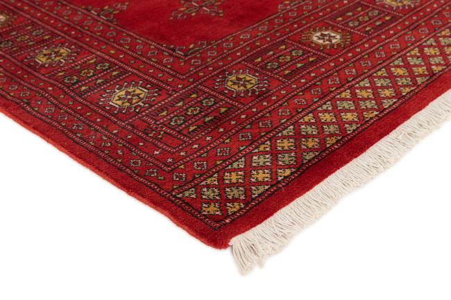 Pakistan Buchara 2ply - 3