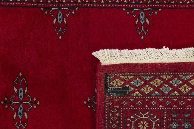 Pakistan Buchara 3ply - 1