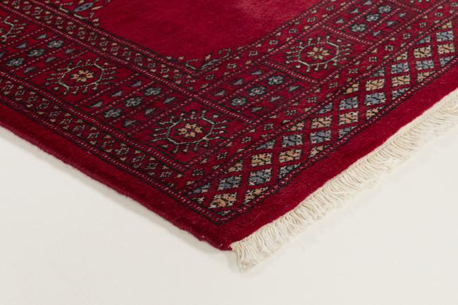 Pakistan Buchara 3ply - 3