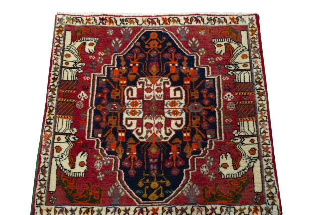 Shiraz - 3