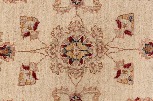 Ziegler Farahan - 6