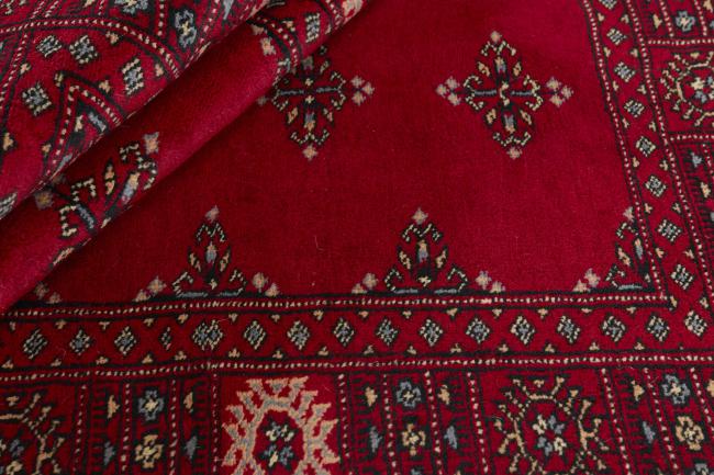 Pakistan Buchara 3ply - 2