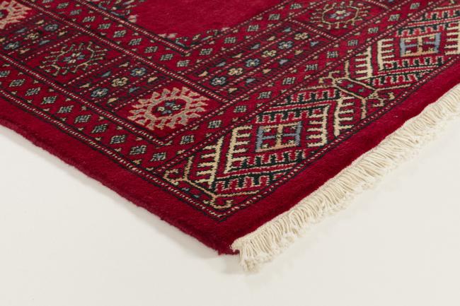 Pakistan Buchara 3ply - 3