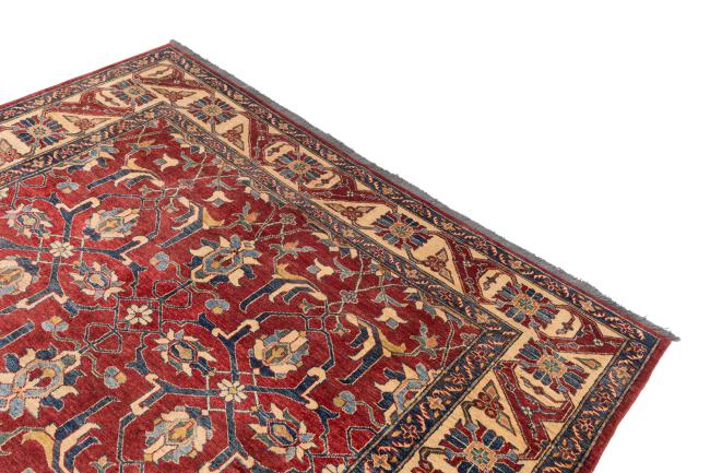 Ziegler Farahan - 3