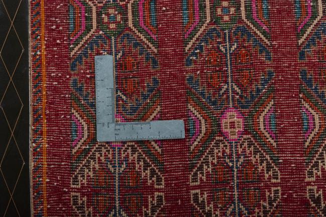 Shiraz - 4