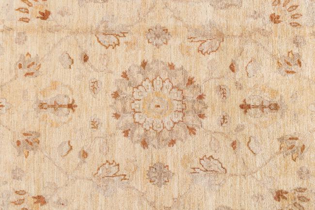 Ziegler Farahan - 7