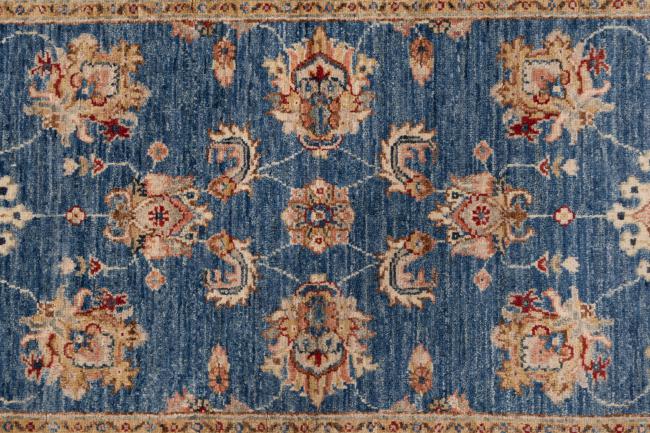 Ziegler Farahan - 6