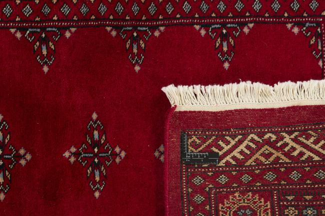 Pakistan Buchara 3ply - 1