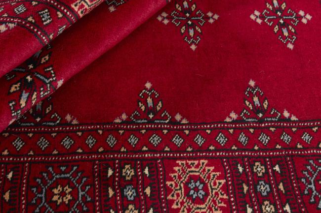 Pakistan Buchara 3ply - 2