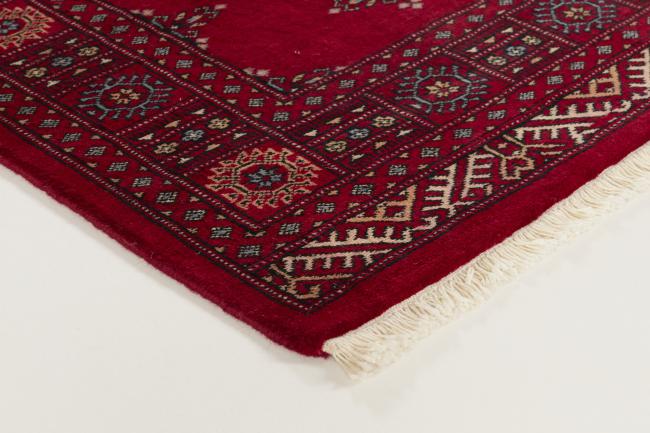 Pakistan Buchara 3ply - 3