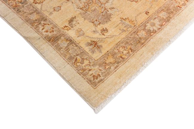 Ziegler Farahan - 5