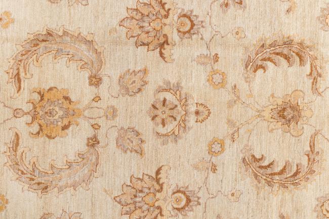 Ziegler Farahan - 8