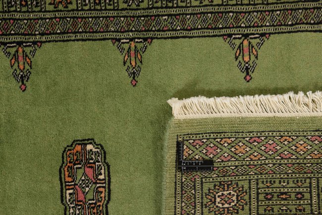 Pakistan Buchara 2ply - 1