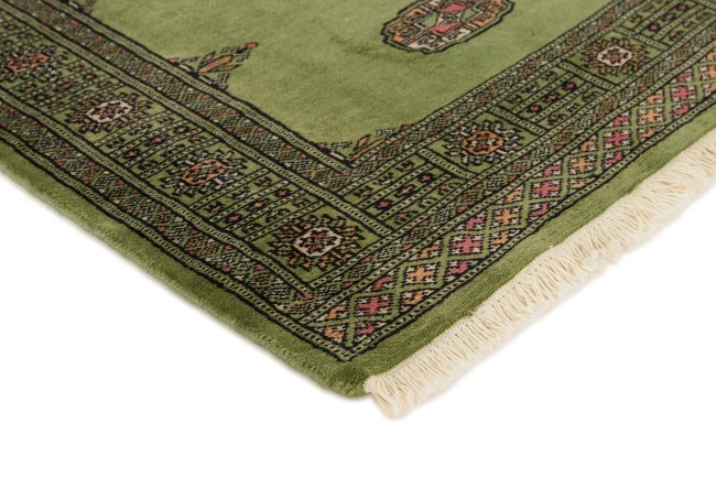 Pakistan Buchara 2ply - 3