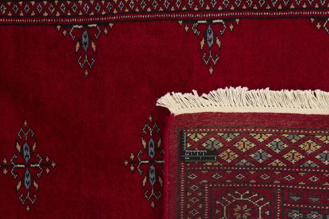 Pakistan Buchara 3ply - 1