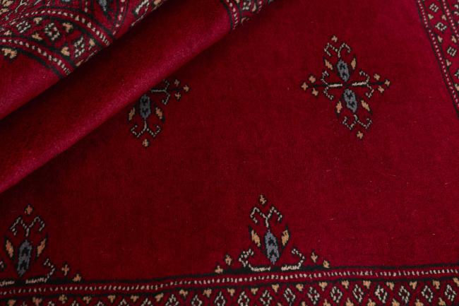 Pakistan Buchara 3ply - 2